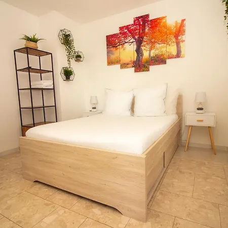 Homestay L'estival En Colocation *